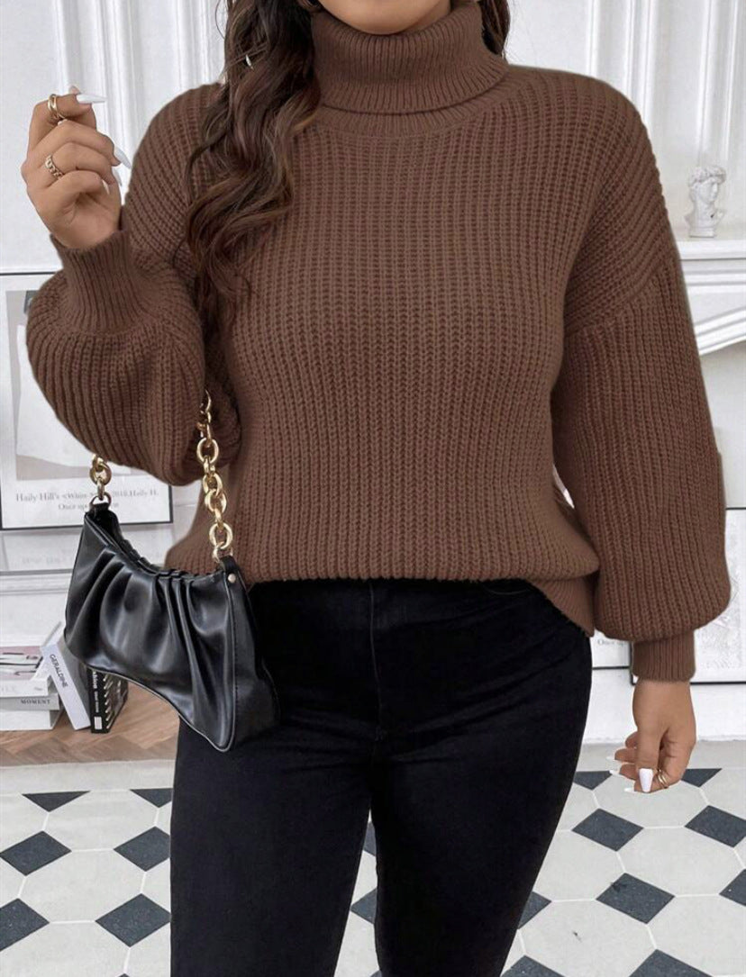 Damen Gemütlicher chunky Pullover mit Rollkragen und strukturiertem Strick R&B