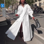 Damen Elegantes Hemdblusenkleid mit weit schwingendem Rock R&B