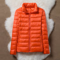 R&B | Klassische Orange Jacke