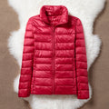 R&B | Klassische Rote Jacke