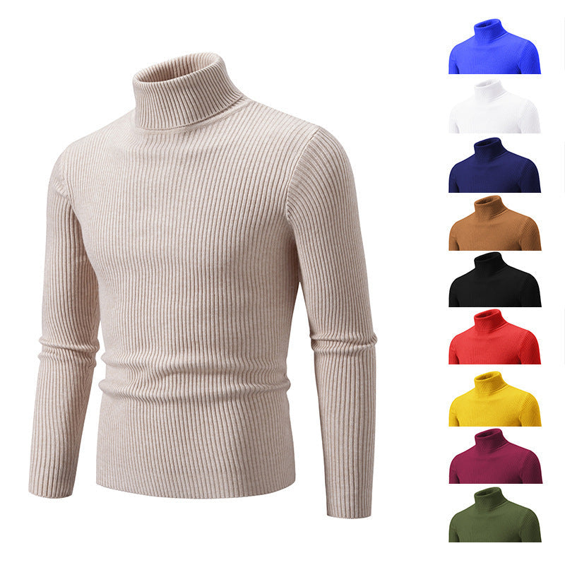 Herren feiner Rollkragenpullover aus langlR&Bigem Strickmaterial R&B