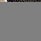 Damen Ballerinas mit dekorativem Lochmuster und bequemer Schnalle R&B