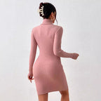 Damen Strickkleid mit hohem Kragen