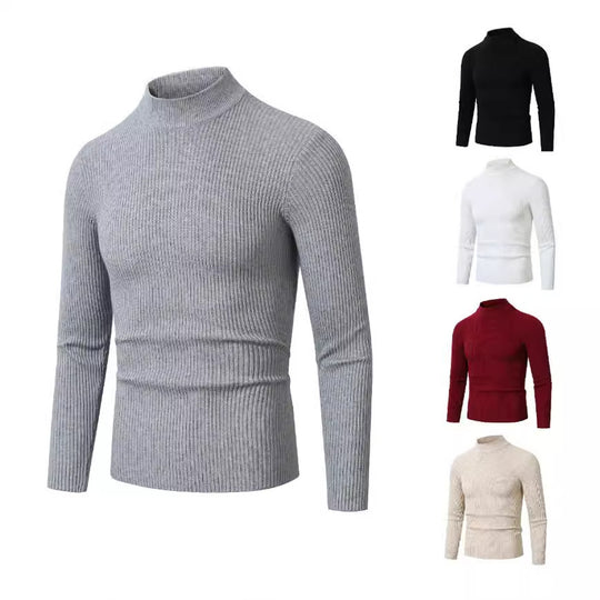 Herren modischer Rollkragenpullover aus feiner Wolle R&B