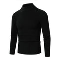 Herren Rollkragenpullover aus hochwertiger Rippenstruktur R&B