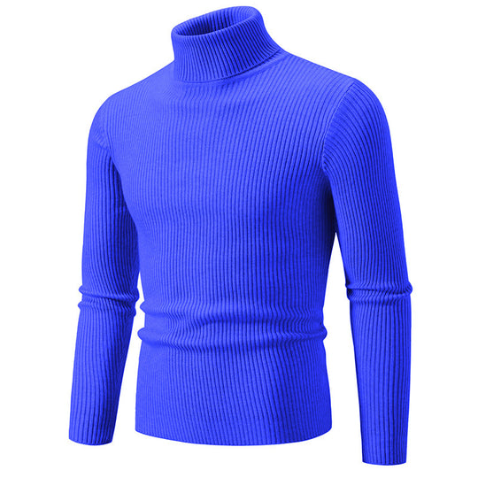 Herren modischer Rollkragenpullover mit feiner Rippstruktur R&B