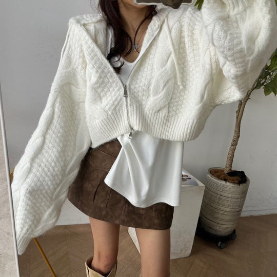 Damen Kurzer Strickpullover mit Zopfmuster und Kapuze R&B