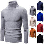 Herren Hochwertiger Rollkragenpullover aus feiner Rippstruktur R&B