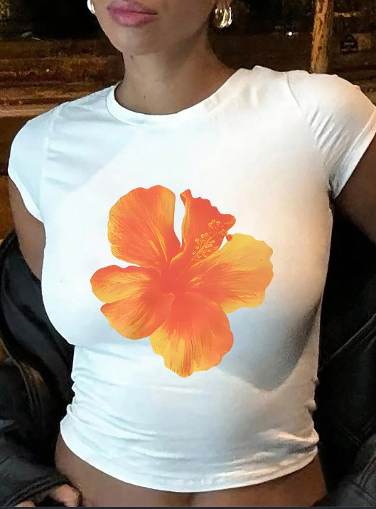 Damen Crop-T-Shirt mit kreativen Schleifen-Details R&B
