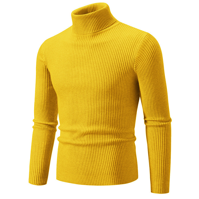 Herren modischer Rollkragenpullover mit feiner Rippstruktur R&B