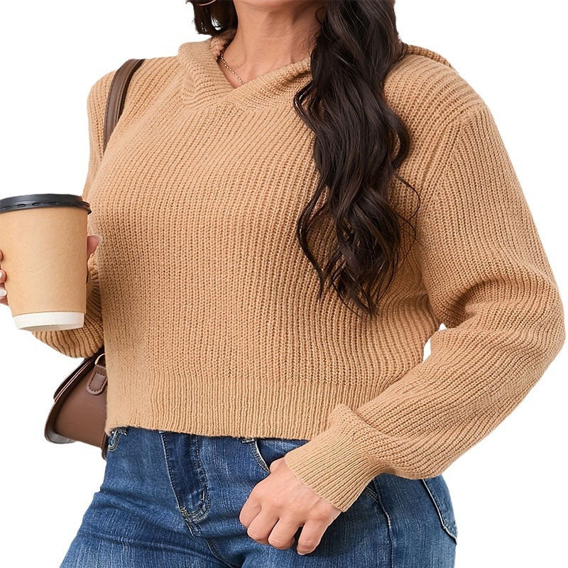 Damen lässiger Kapuzenpullover mit strukturiertem Strickmuster R&B
