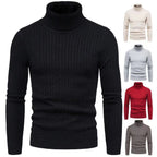 Herren Rollkragenpulli mit strukturiertem Zopfmuster R&B