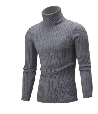 Herren modischer Rollkragenpullover aus feinem Strick R&B