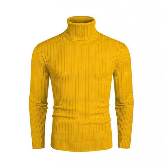 Herren modischer Rollkragenpullover mit feinem Rippenmuster R&B