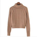 Damen Strickpullover mit hohem Kragen und Rippstruktur R&B