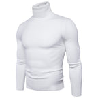 Herren Rollkragenpullover aus weichem Feinstrick R&B