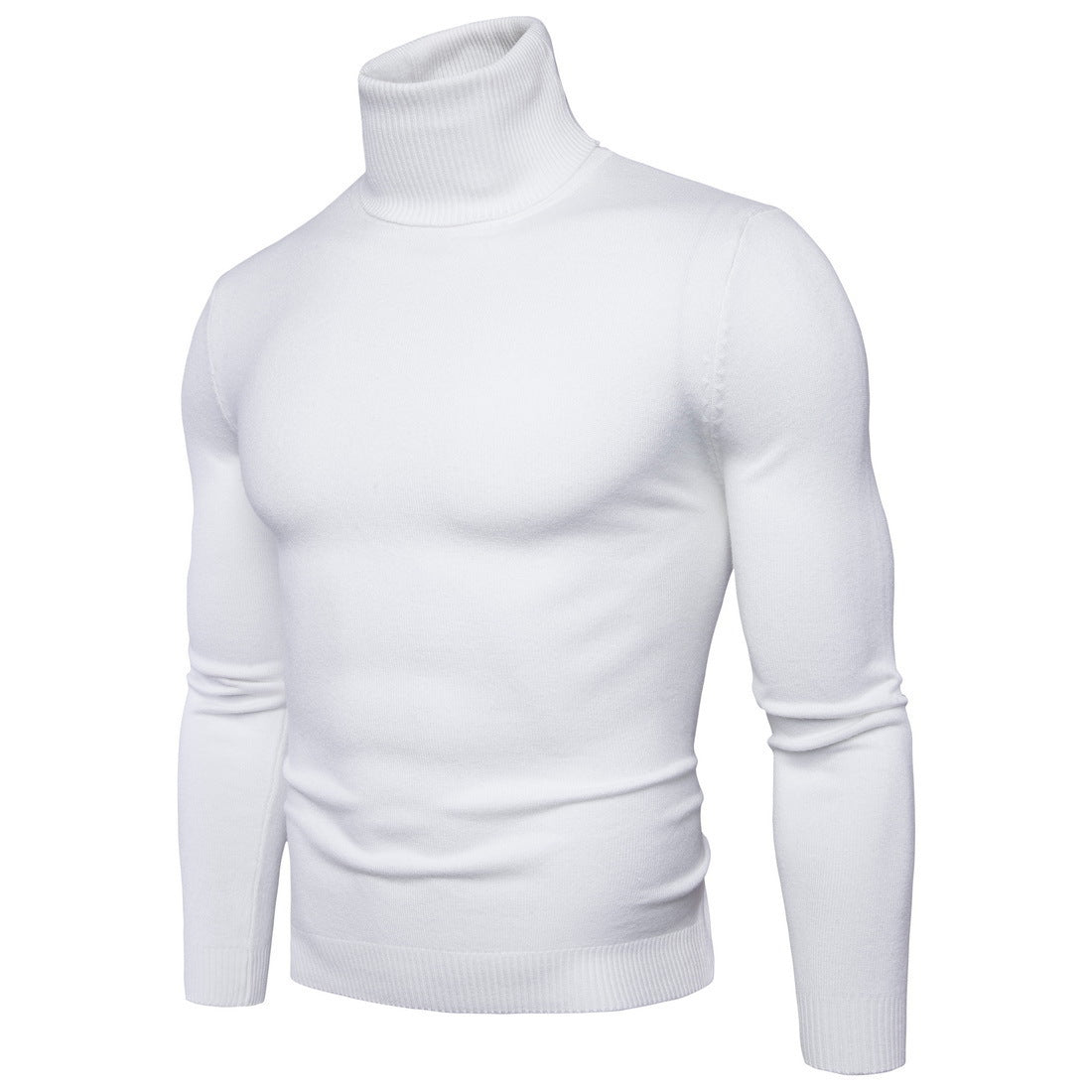 Herren Rollkragenpullover aus weichem Feinstrick R&B