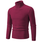Herren Rollkragenpullover aus fein geripptem Material R&B
