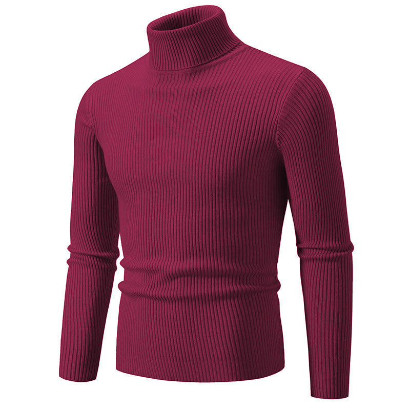 Herren Rollkragenpullover aus fein geripptem Material R&B