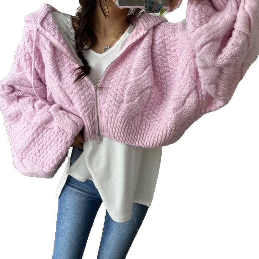 Damen Kurzer Strickpullover mit Zopfmuster und Kapuze R&B