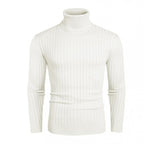 Herren Rollkragenpullover aus elastischem Strickmaterial mit feinem Rippendesign
