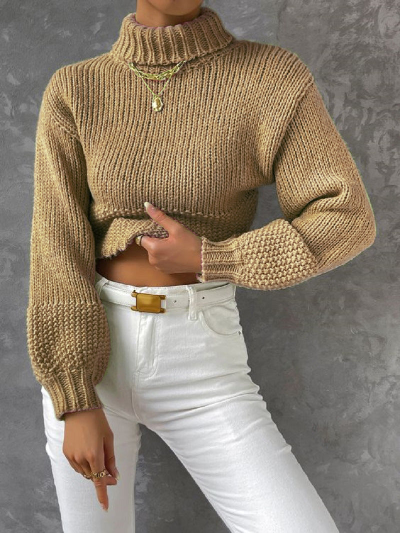 Damen Grobstrick Pullover mit hohem Kragen R&B