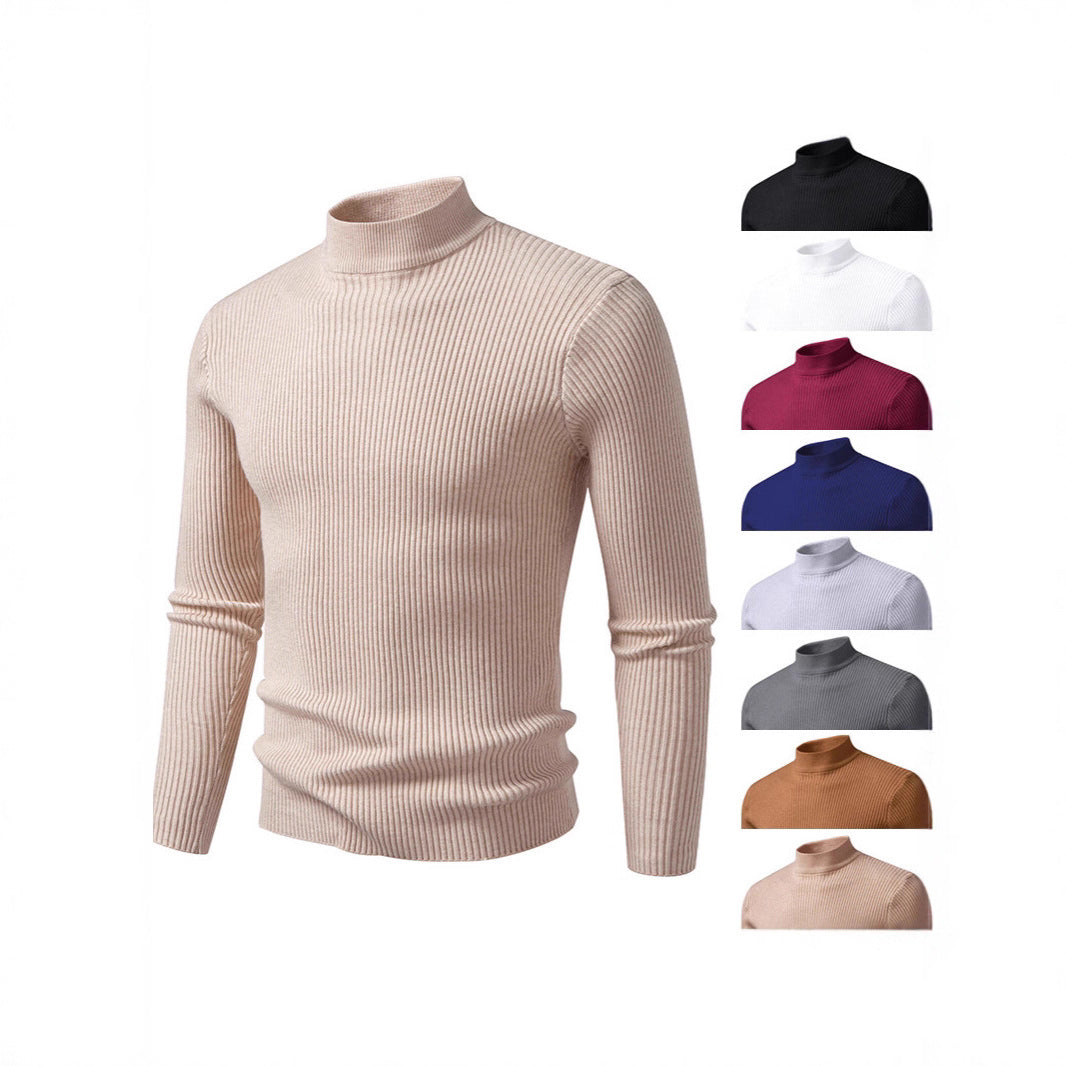 Herren Rollkragenpullover aus strukturiertem Strickmaterial