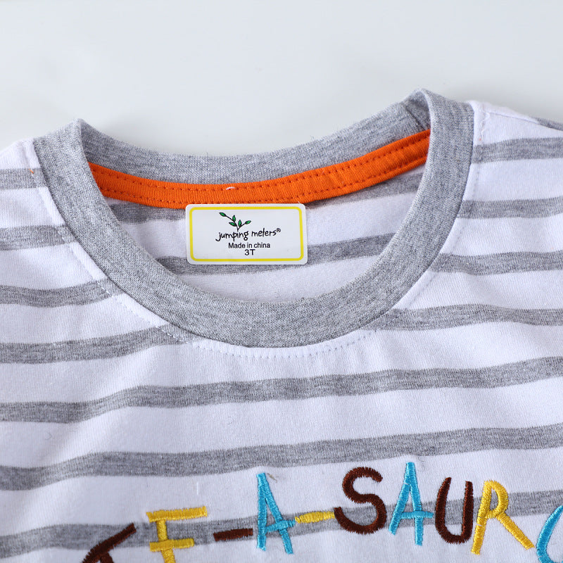 Jungen T-Shirt mit niedlichem Dinosauriermotiv R&B