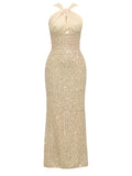 Damen Glamouröses Abendkleid mit funkelndem Paillettenoberteil und elegantem Rückenausschnitt R&B