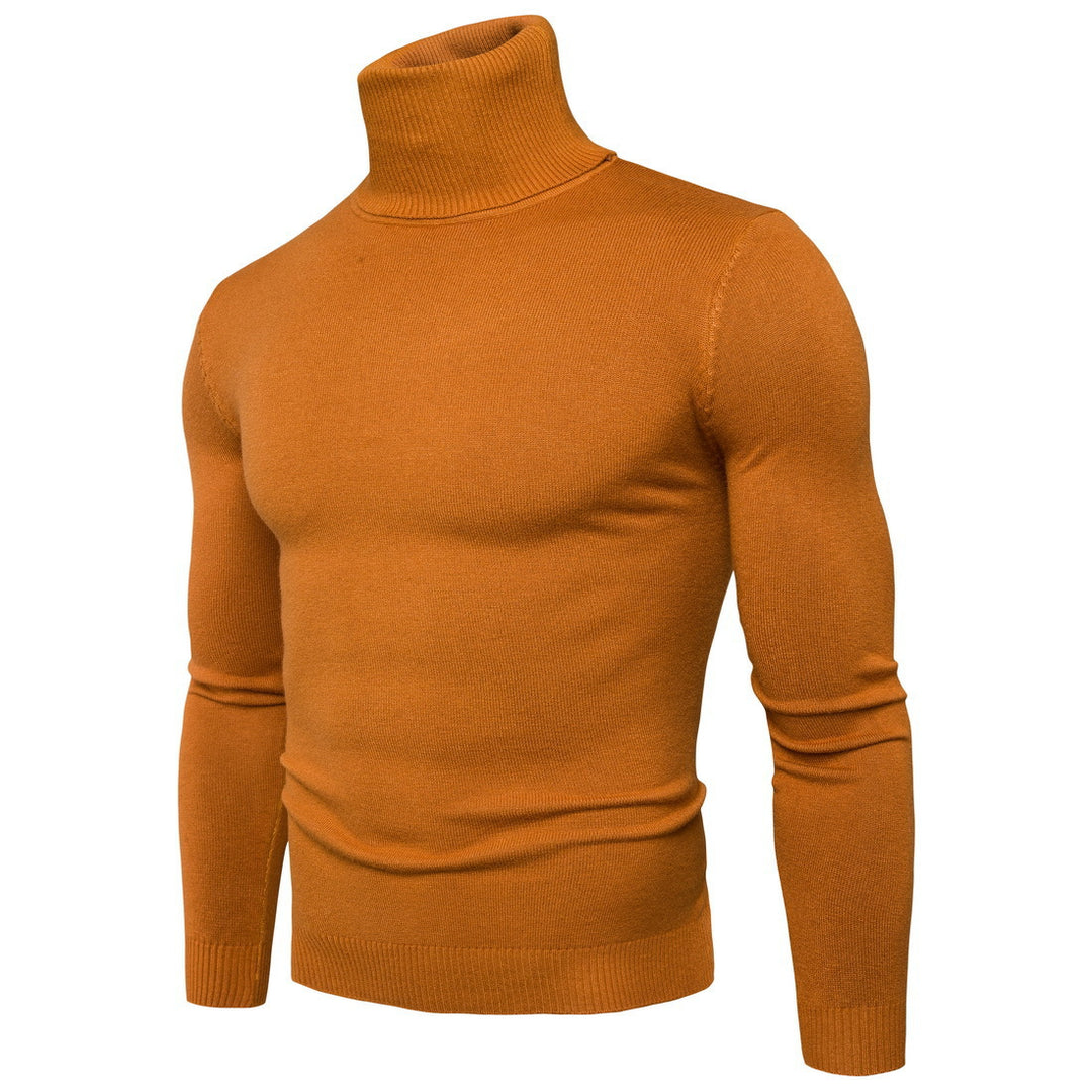 Herren Rollkragenpullover aus weichem Feinstrick R&B