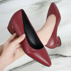 Damen Spitze Pumps mit niedrigem Blockabsatz und eleganter Form R&B