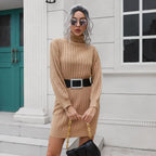 Damen Strickkleid mit hohem Kragen und elastischem Gürtel R&B