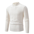 Herren Grobstrickpullover mit steigendem Kragen und Zopfmuster R&B