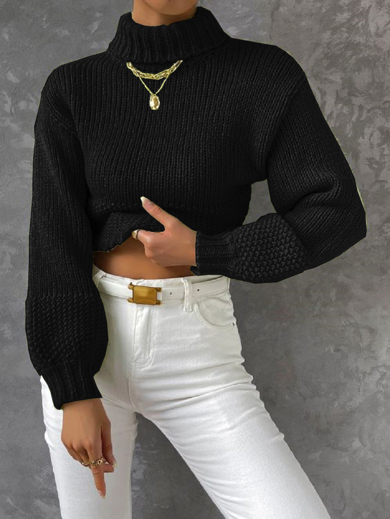 Damen Grobstrick Pullover mit hohem Kragen R&B