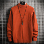 Herren Rollkragenpullover aus weicher Strickqualität R&B