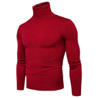 Herren Rollkragenpullover aus weichem Feinstrick R&B