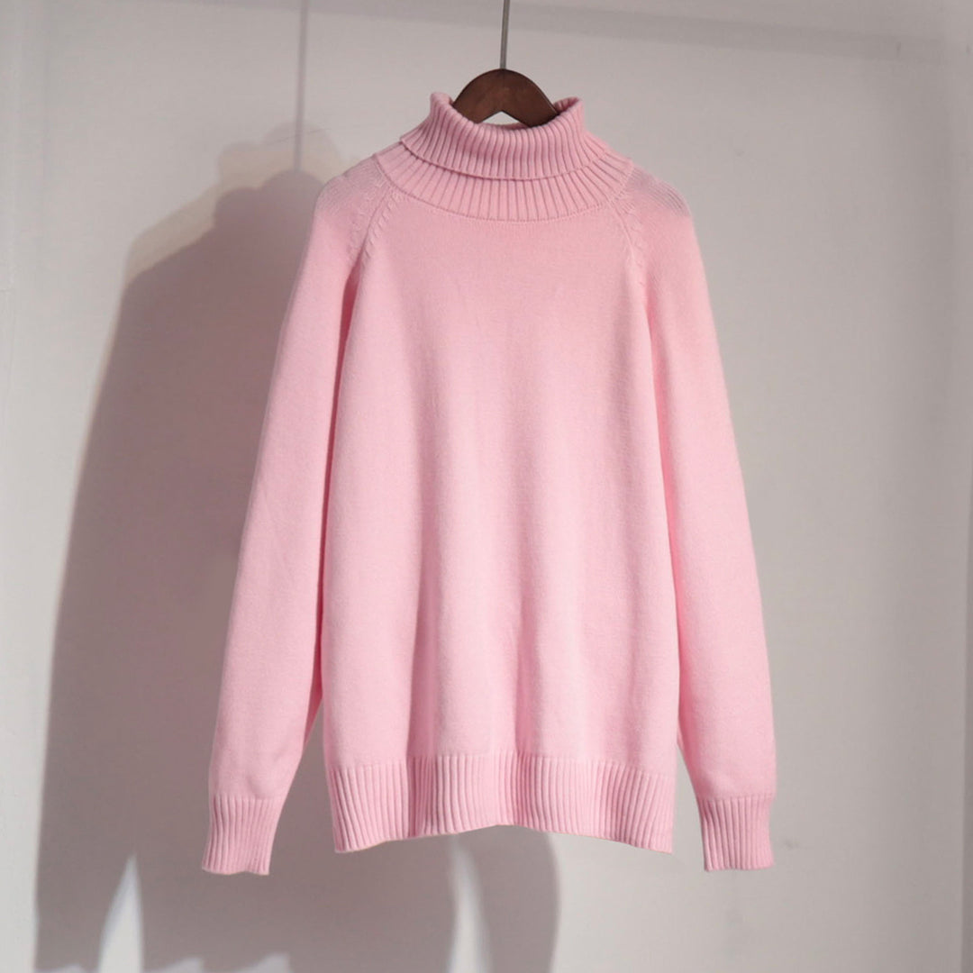 Damen Feinstrickpullover mit hohem Kragen R&B