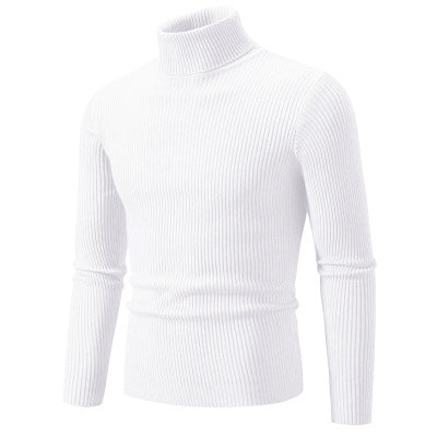 Herren Rollkragenpullover aus hochwertiger Rippenstrickqualität R&B