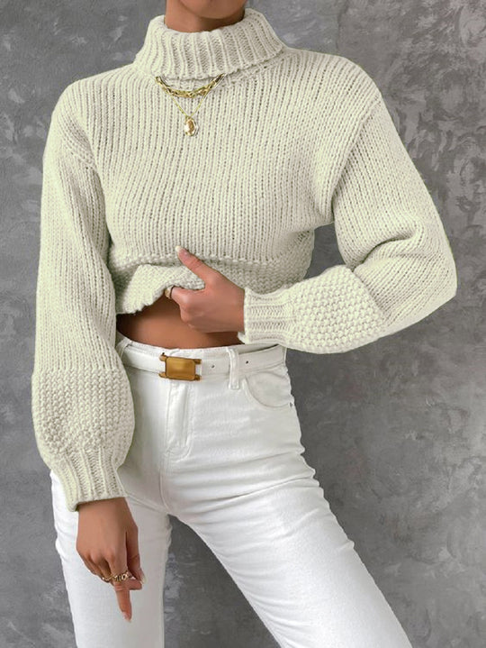 Damen Grobstrick Pullover mit hohem Kragen R&B