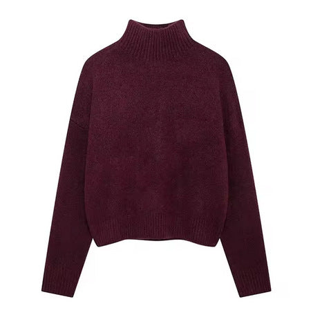 Damen Kuscheliger Rollkragenpullover R&B