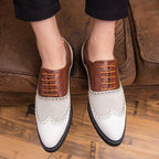 Damen Elegante und stilvolle Schnürschuhe mit klassischem Broguemuster R&B