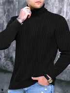 Herren Rollkragenpullover mit strukturiertem Strickmuster R&B