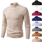 Herren Rollkragenpullover mit strukturierter Ripp-Optik