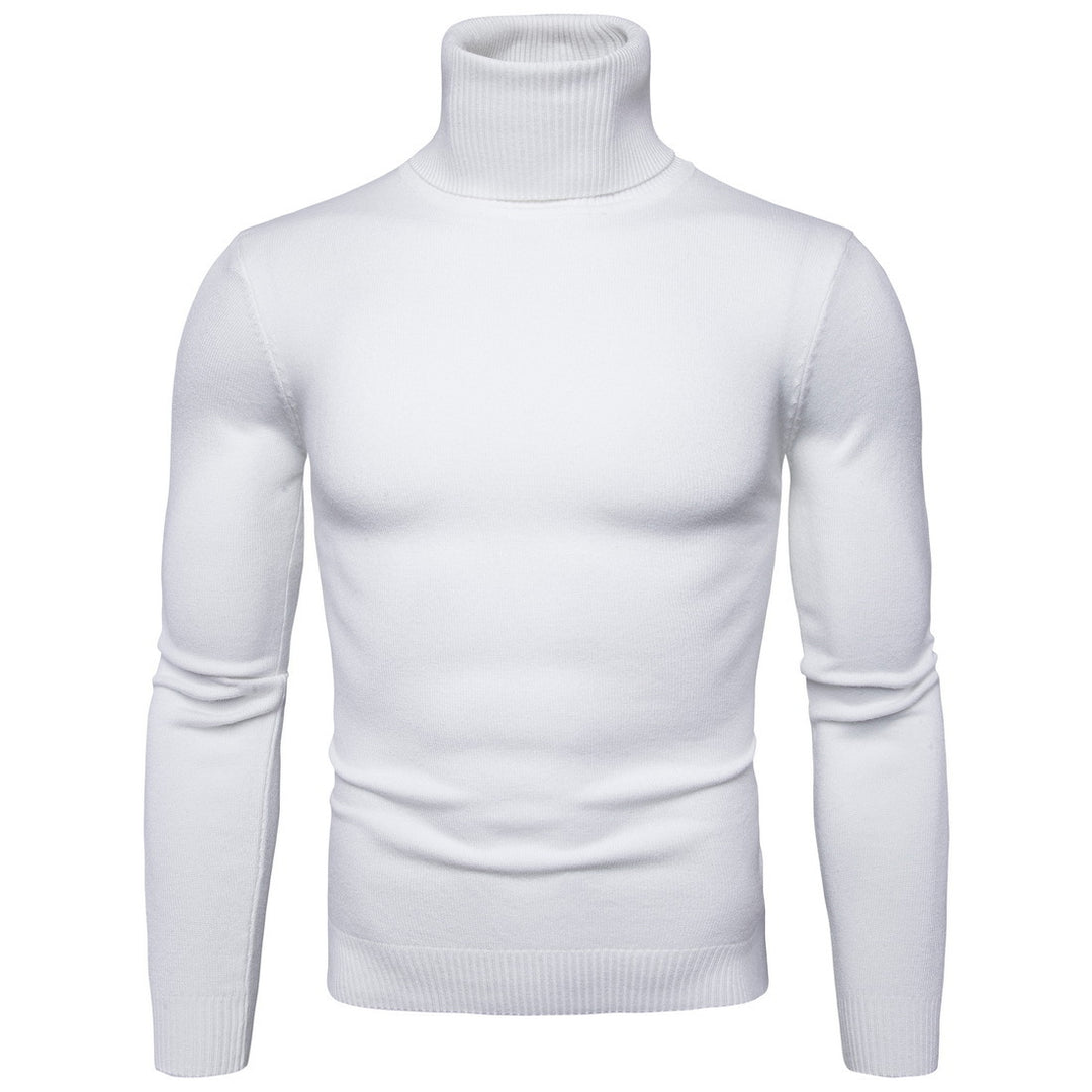 Herren Rollkragenpullover aus weichem Strick R&B