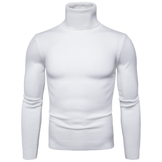 Herren Rollkragenpullover aus weichem Strick R&B