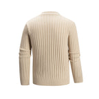 Herren Rollkragenpullover mit strukturierter Strickoberfläche