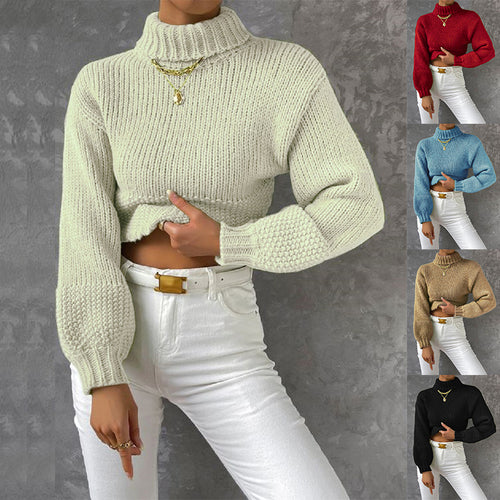 Damen Grobstrick Pullover mit hohem Kragen R&B