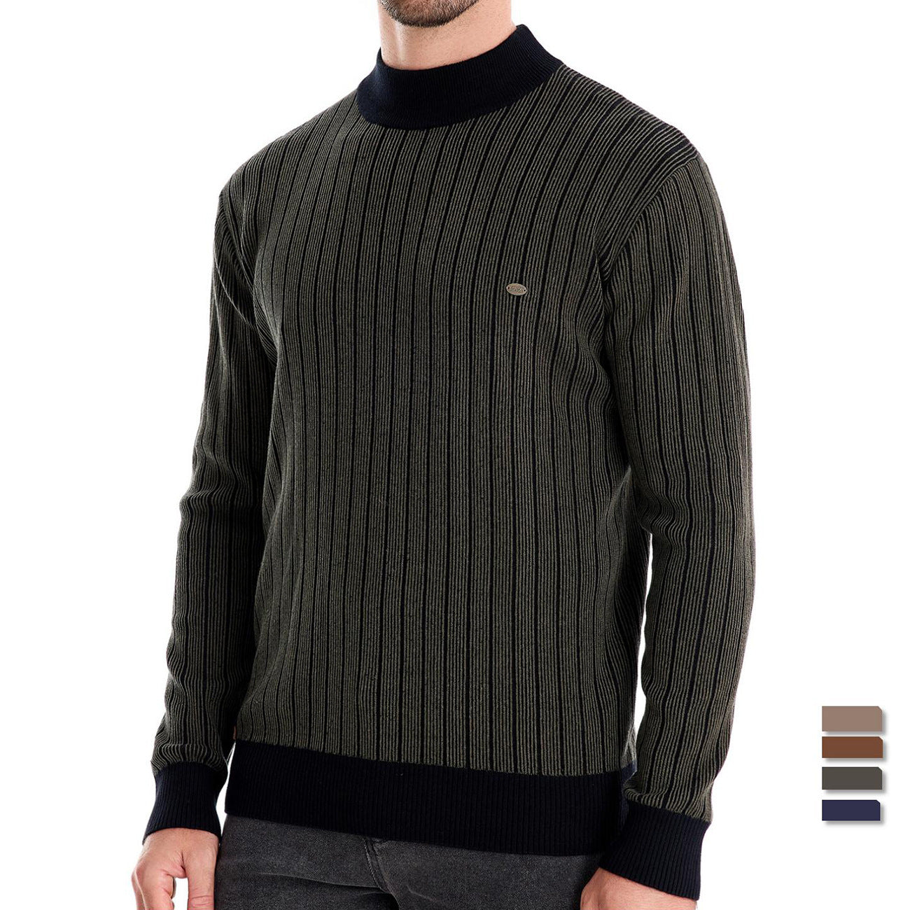 Herren Feinstrickpullover mit Rollkragen und Streifenmuster