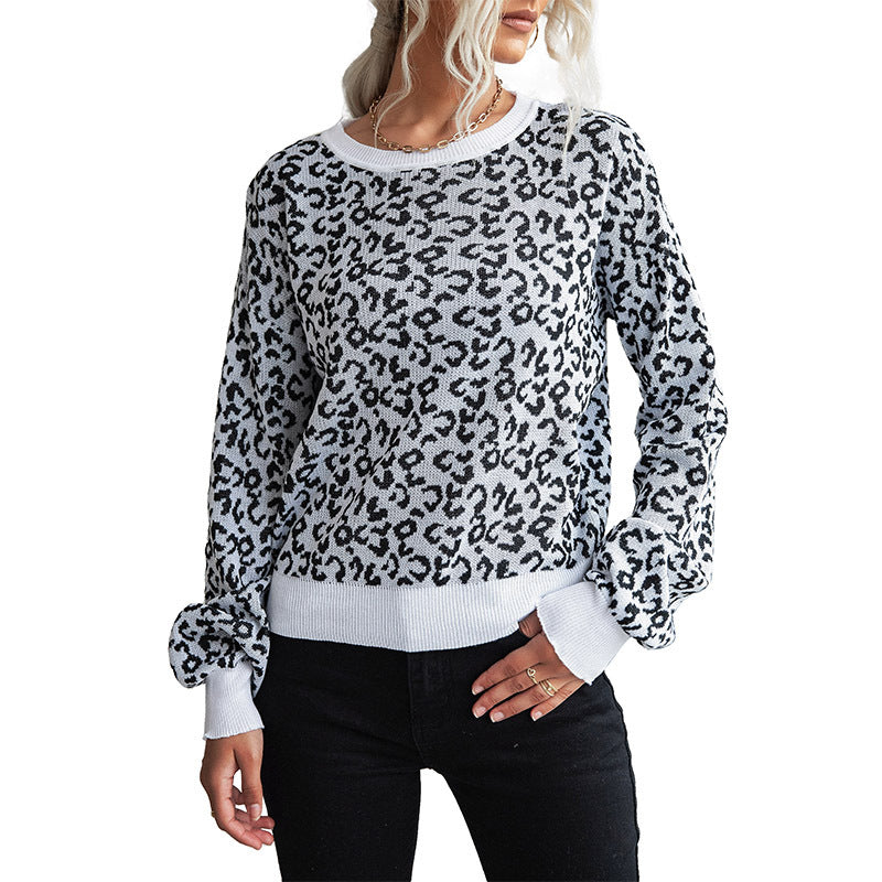 Damen Gemusterter Strickpullover mit Leopardenmuster R&B
