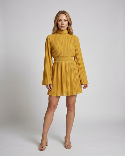 Damen Plissierte Schmetterlingsärmel Chiffon Kurzkleid